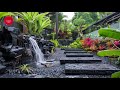 Beyond the Ordinary: Tropical Gardens with Black Pebble Flair