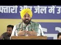 Punjab CM Bhagwant Mann ने जंतर मंतर पर Kejriwal के समर्थन में BJP की उड़ाई धज्जियां | AAP DELHI