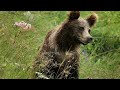 Epic Wilderness: The Boundless Beauty of the Tatra Mountains | Extra Long Documentary