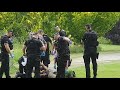 Armed police tasers man hiding in bush. Brighton