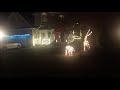 Christmas Lights 2019