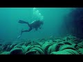 Dumping 2 Million Tires In The Ocean To 