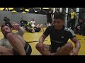 11 Minutes Of Mica Galvão Being An Elite Grappler (Full Round)