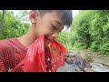 A wandering boy designs a net trap to catch stream fish for survival