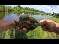 DO MOON PHASES AFFECT BLUEGILL SPAWNING ACTIVITY?  The 