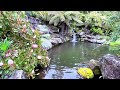 Mount Tomah Botanic Gardens | Waterfall Sounds