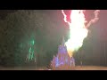 Happily ever after 2023 homemade fireworks