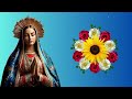 EL SANTO ROSARIO CORTO DE HOY MIERCOLES 12 DE JUNIO 🌷MISTERIOS GLORIOSOS🌷- el santo rosario de hoy