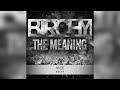 Birchy: The Meaning (FREE ALBUM)