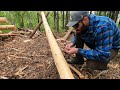 Off Grid Alaska Log Cabin in the Forest with a Spruce Tip Snack ASMR