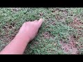 Me touching grass😂