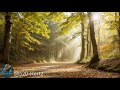 #4K Revitalizing Nature Meditation - Breathtaking Views and Uplifting 528 Hz Music for Soul Renewal