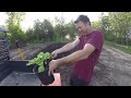 Growing a Giant Pumpkin in a Giant Pile of Leaf Compost