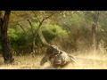 Planet Earth II: Official Extended Trailer | BBC Earth