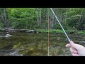 Fly Fishing for Trout on Two Delayed Harvest Streams || Fly Fishing North Carolina