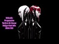 Melodic Progressive Techno & House Helge Hart Mix 2024 190