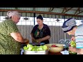 Harvesting Bell Peppers and Making Traditional Vegetable Stuffed Pickle