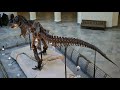 MOST realistic T. rex: the New Sue
