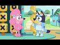 Bluey's Sunny Adventure Full Episodes ☀️ | Featuring Ice Cream, The Beach, and More! | Bluey