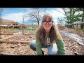 Planting 500 Onions | My Tips for a Successful Harvest