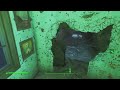 Fallout 4: The True 100% All Quests, Locations, Achievements, Skill books etc [Survival Mode][12/??]