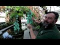 Virtual Tour of The Orchid Show: Jeff Leatham's Kaleidoscope
