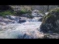 4K CALMING FOREST STREAM SOUND 🍂 Relaxing Nature Video with ambient sound for sleep, study, work