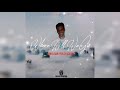 Junya Dan(Fully Scaach), Kaldo Production-Where Will We Go(Official Audio Visualizer)