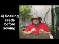 Best way to germinate pepper seeds | Gardening Tips