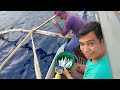 FISHING BULLET TUNA (PIRIT/PIDLAYAN) PHILIPPINES