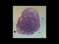 #33 - Crystal Trinket Bowl using Borax - Full Tutorial