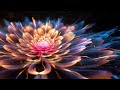 LISTEN TO THIS and Attract Love, Beauty, PEACE, GOOD OMIN AND HARMONY – POWERFUL SPIRITUAL Frequency