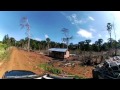 Los árboles solitarios que deja la tala en el Guaviare