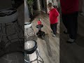 leaf blower on a chair