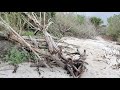 Biolab Road. Merritt Island National Wildlife Refuge, Florida