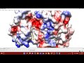 Visualizing Protein-Ligand Interactions || UCSF Chimera