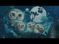 Kids Sleep Meditation OLLIE AND OLIVIA - An Owl Adventure! Children's Sleep Story to Fall Asleep