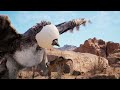 Wētā FX's Meerkat Demo | Unreal Engine 5.4.1 | 4K  60 fps