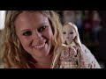 Is This The World's BIGGEST Barbie Fan? | Living Dolls | Curious