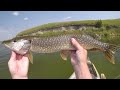 This Lure Was HOT For Summer Pike!