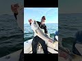 Fishing for striped bass in Montauk, New York with diamond jigs