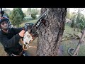 FIRST TIME on tree CLIMBING SPURS