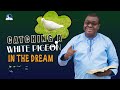 Catching A White Pigeon Dream - Spiritual Meaning and Divine Guidance