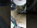 Yanmar - water leak