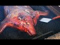 How to BBQ a Whole Hog Tex Mex Style SUB. ITA