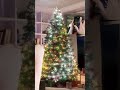 amazing Christmas tree have you seen something better below comment