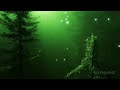 Enchanted Forest Music & Mystical Vocals ✦ Ethereal Fantasy Music ✦ 528 hz ✦ Path To The Elven Lands