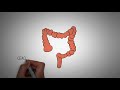 HUMAN DIGESTIVE SYSTEM Made Easy- Gastrointestinal System