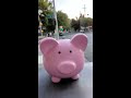 My public piggy bank account in Sacramento