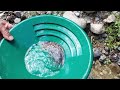 Incredible Discovery.!! The Process of Finding Gold in Rivers and Streams